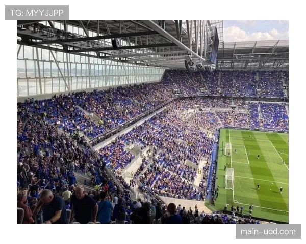 埃弗顿新主场适应期 希尔迪森体育场表现起伏 埃弗顿新主场适应期 希尔迪森体育场表现起伏